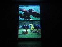 Janet Biggs Video Installation 'Carpe Diem' - Video Still 1 - Installation View